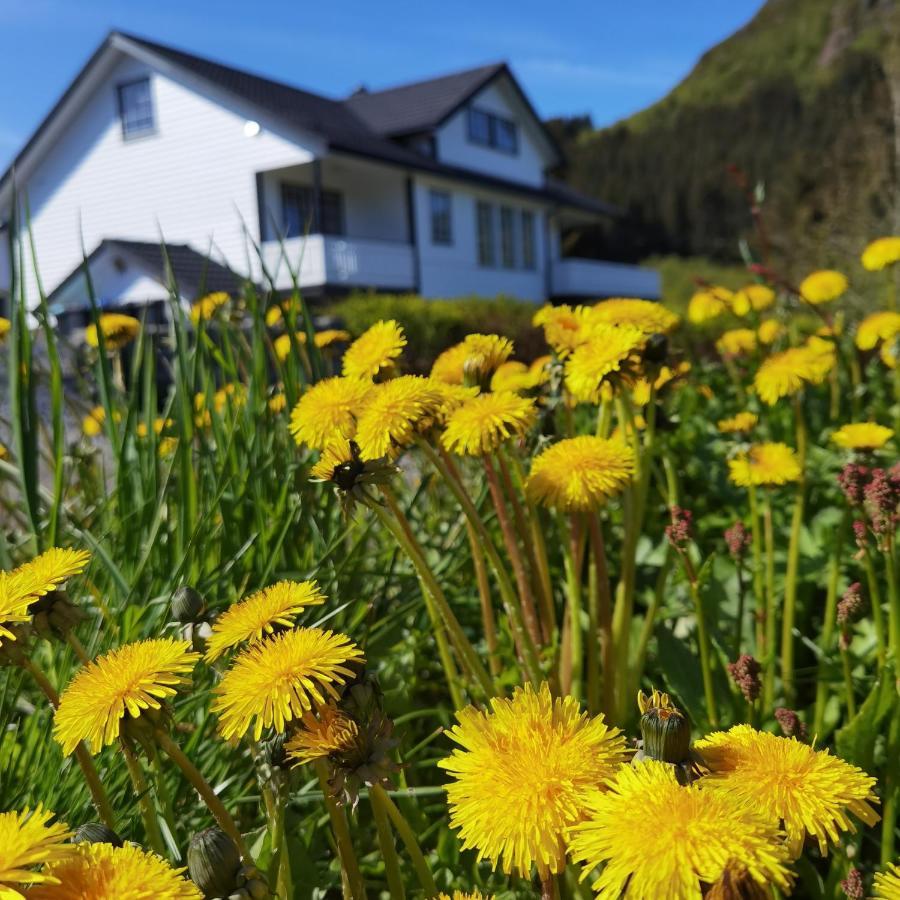 Banpim Hillside Lofoten With Jacusszi Gravdal  Exterior photo
